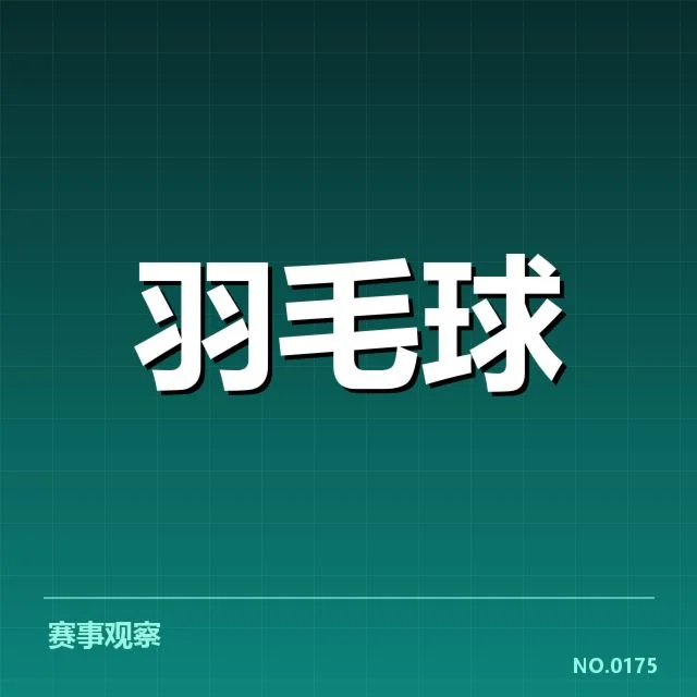 2024年羽毛球技术挑战赛：裁判判罚公正性疑问